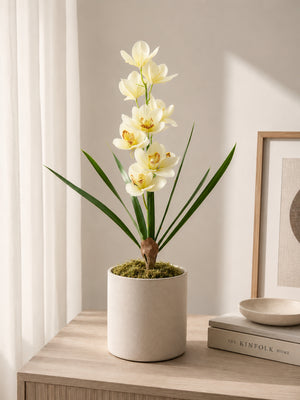 Orkidee Hvid/Gul | 43 cm