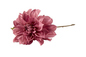 Dahlia, 70 cm | Purple