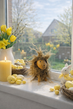 Langhåret får | Mørk