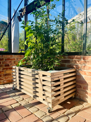 Kapilærkasseskjuler i et rustikt udseende