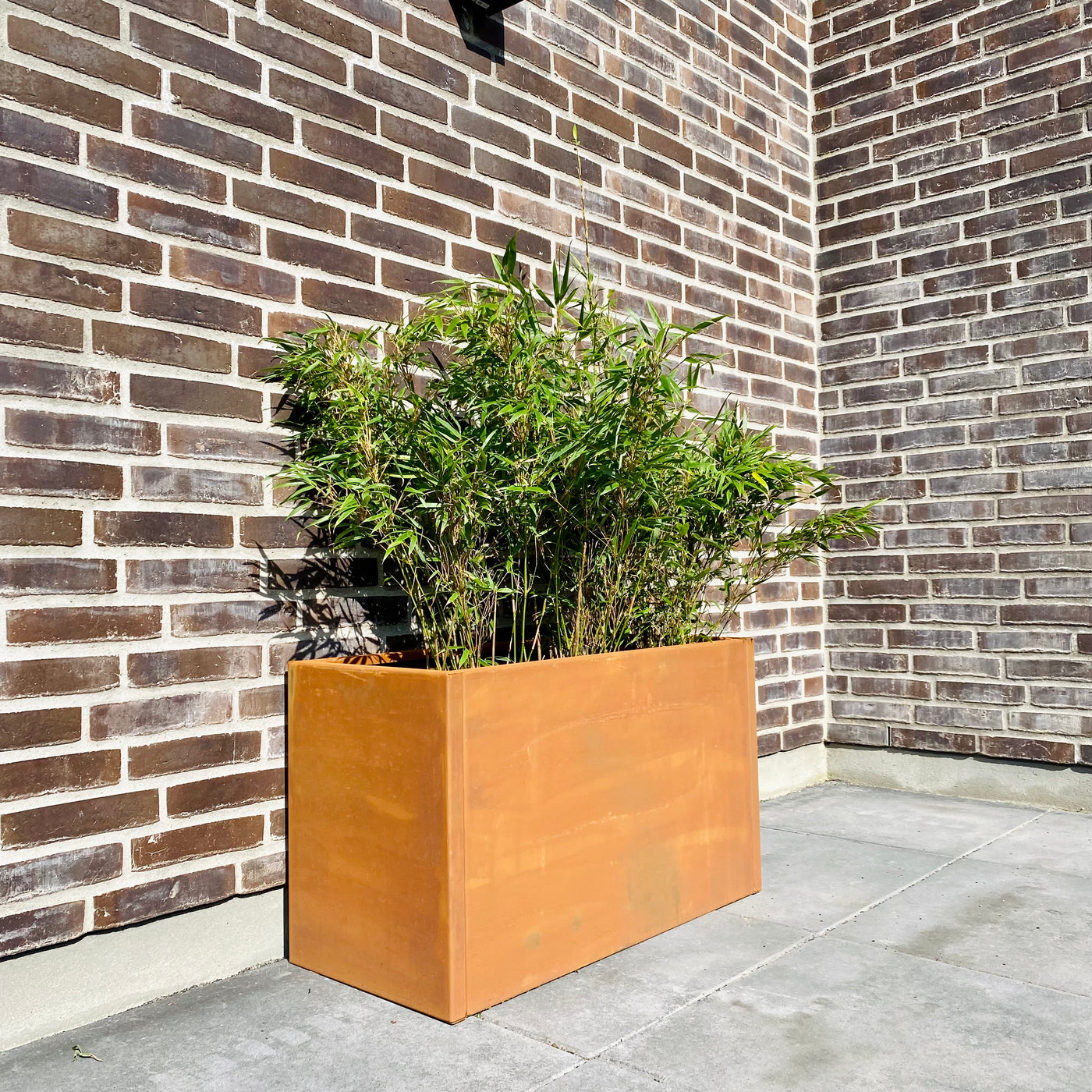 Cortenstål højbed med bambus foran murstensvæg
